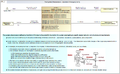 Thumbnail for version as of 22:07, 10 April 2024